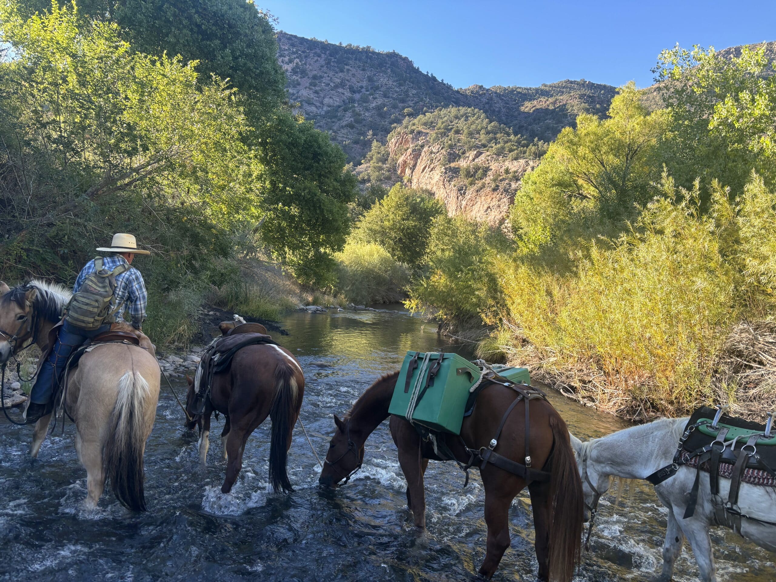 horse packing in the gila