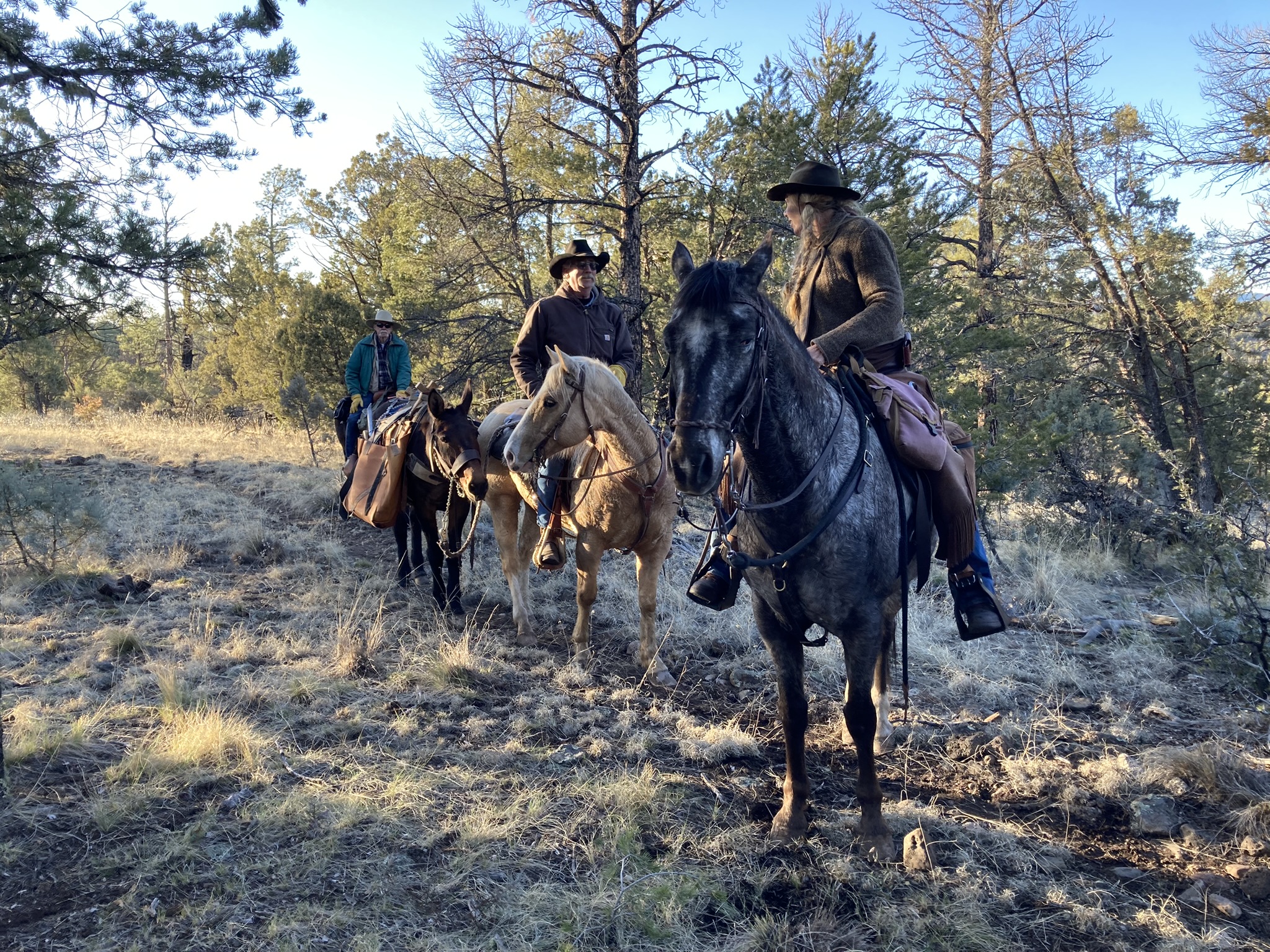 horseback in the gila